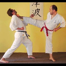 Karate Tsunami Honbu Dojo