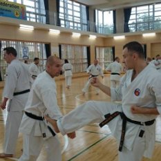 Frelich Akademia Karate Okinawa Shorinryu