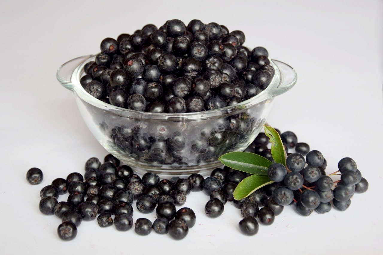 Aronia